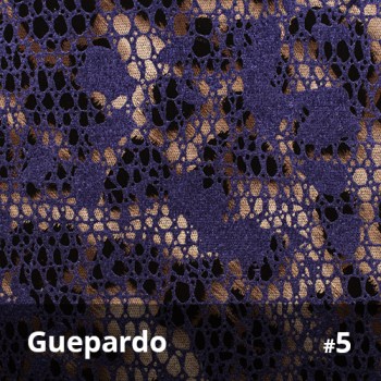 Guepardo 5